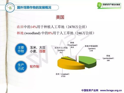 十三五期間國家牧草產業技術體系網絡系統工程技術的創新與發展